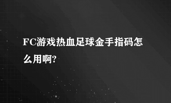 FC游戏热血足球金手指码怎么用啊?