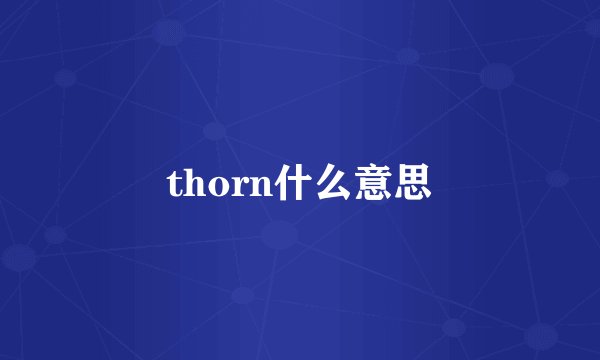 thorn什么意思