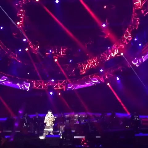 浪漫血液的介绍