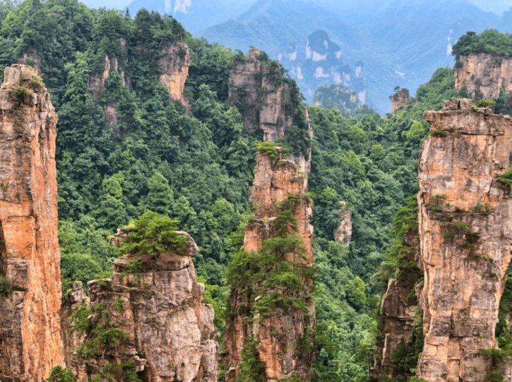 张家界旅游要导游吗