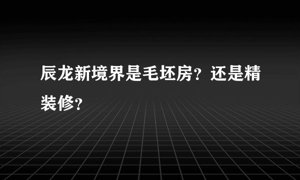 辰龙新境界是毛坯房？还是精装修？