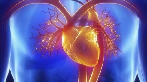 医护3000次按压救回心脏骤停32分钟患者,这是一种怎样的精神?