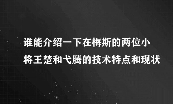 谁能介绍一下在梅斯的两位小将王楚和弋腾的技术特点和现状