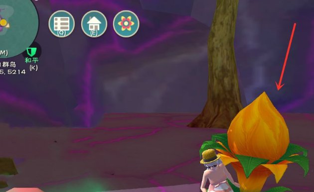 《创造与魔法》夕阳花位置是什么？