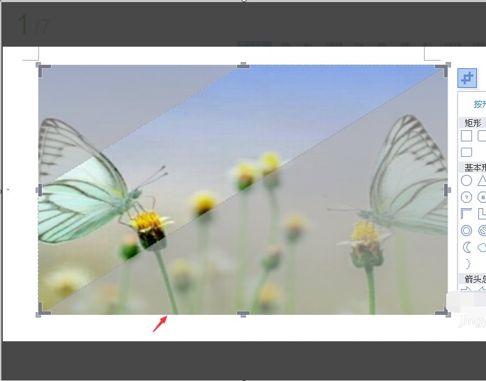 在WORD 中如何裁剪图片大小？