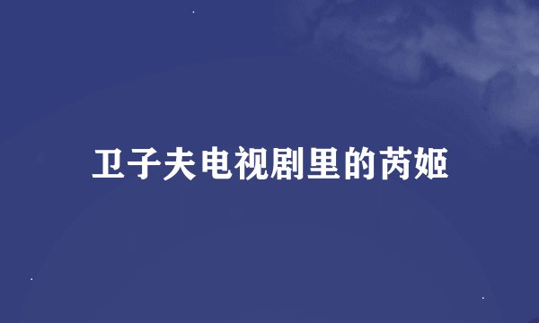 卫子夫电视剧里的芮姬