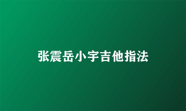 张震岳小宇吉他指法