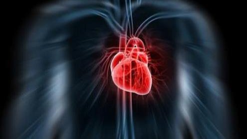 医护3000次按压救回心脏骤停32分钟患者,这是一种怎样的精神?