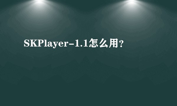 SKPlayer-1.1怎么用？