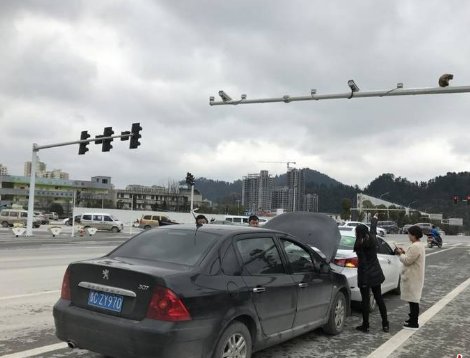 马戏团猴子爬上交通灯，女司机分神观看致追尾是怎么回事？