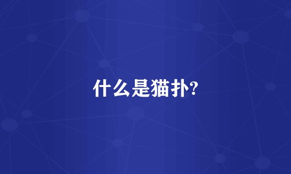 什么是猫扑?