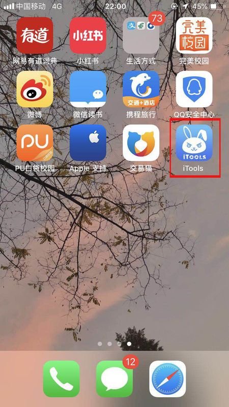 苹果手机怎么下载itools？