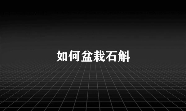 如何盆栽石斛
