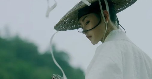 南宫仆射接徐凤年回家第几章