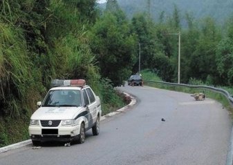 陕西旬阳警方通报警车撞死行人，事故的原因到底是什么？