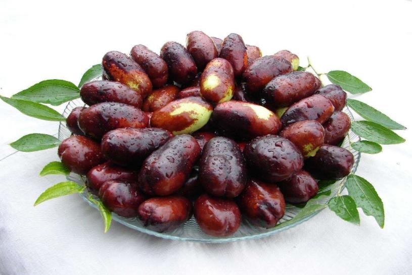 奔豚症到底是啥?仔细辩证,一剂知二剂已呢?