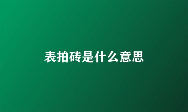 表拍砖是什么意思