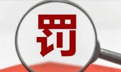 特朗普集团前高管承认逃税、刑事税务诈骗等！会被如何处罚？