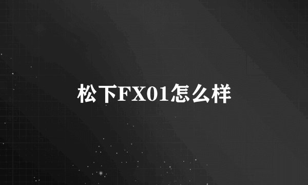 松下FX01怎么样