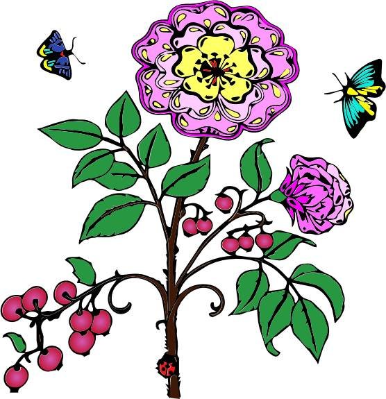 《秘密花园》怎样涂色才会显得高大上?