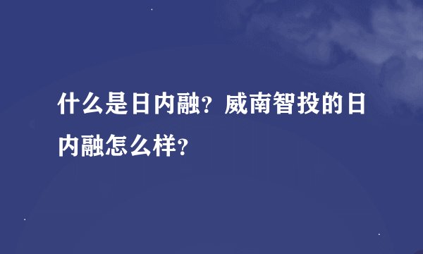 什么是日内融？威南智投的日内融怎么样？