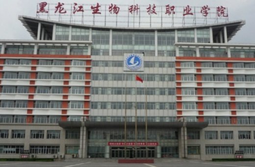 哈尔滨的专科学校都有哪些?