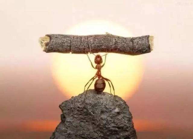 关于信念的名人名言