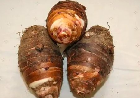 广西安和镇广大群众增收致富的拳头产品是?