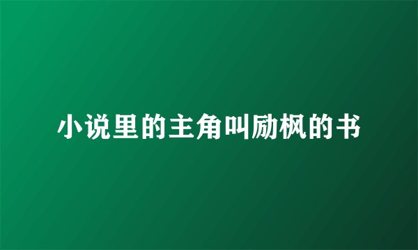 小说里的主角叫励枫的书