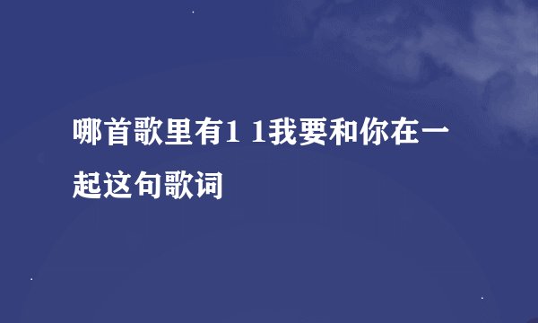 哪首歌里有1 1我要和你在一起这句歌词