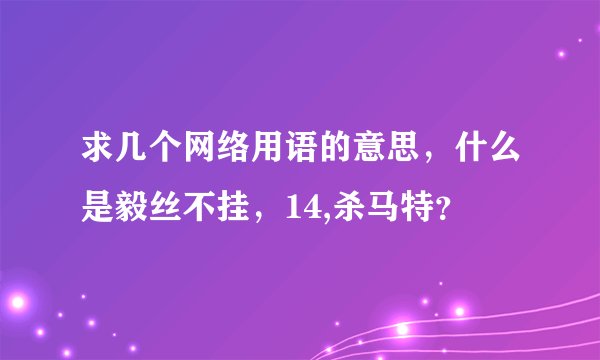 求几个网络用语的意思，什么是毅丝不挂，14,杀马特？