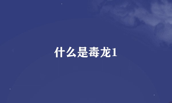 什么是毒龙1