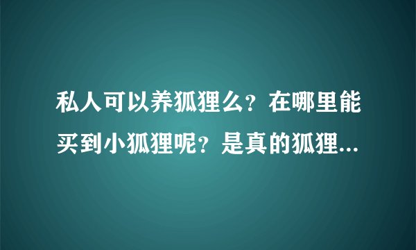 私人可以养狐狸么？在哪里能买到小狐狸呢？是真的狐狸，不是博美之类的狐狸犬