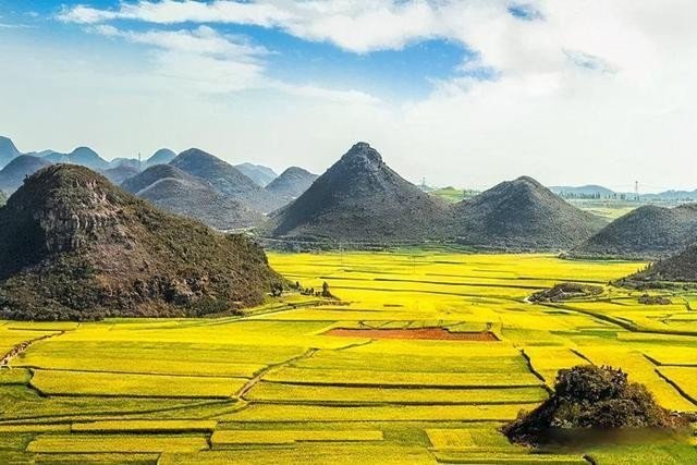 罗平油菜花节是几月初几？