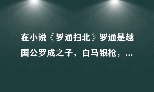 在小说《罗通扫北》罗通是越国公罗成之子，白马银枪，武功盖世，他是怎么战死沙场的？