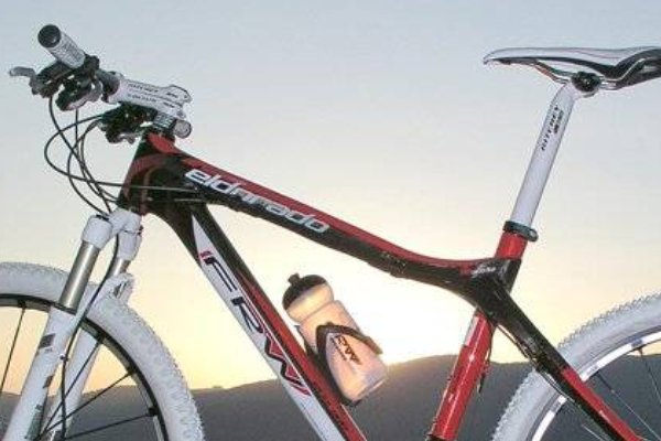 世界十大自行车品牌排名