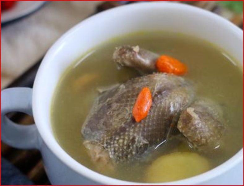 如何炖鸽子汤又美味又有营养