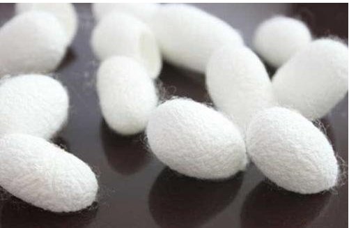 100%桑蚕丝T恤可干洗吗 以及正确的洗涤保养方法