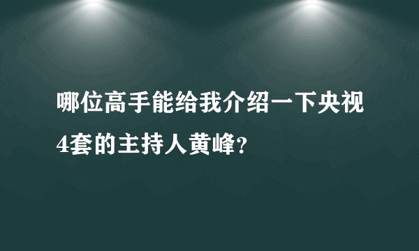 哪位高手能给我介绍一下央视4套的主持人黄峰?