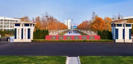 威海职业学校多少分能上