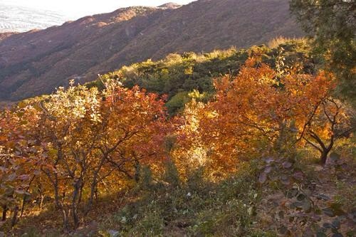 北京香山公园门票