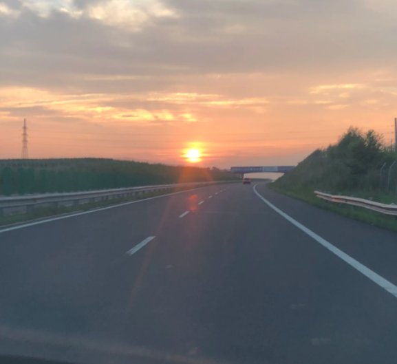 高速路上开车遇见动物,这时候该怎样避让?