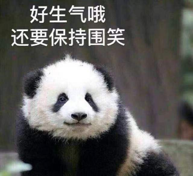 超1.7亿用户数据遭泄露？学习通已报案，此事目前有何进展？