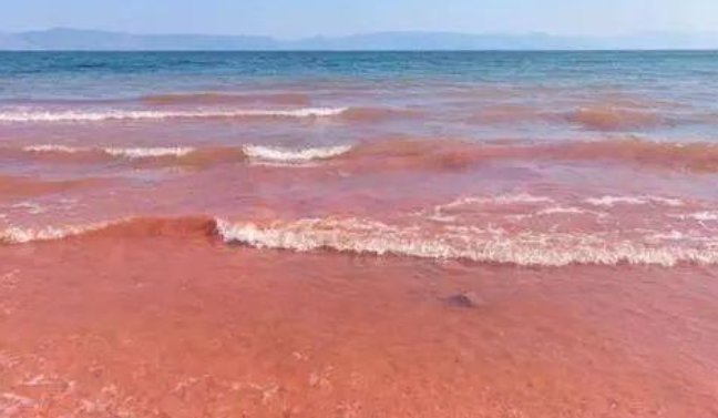 澄江红沙滩在哪里？