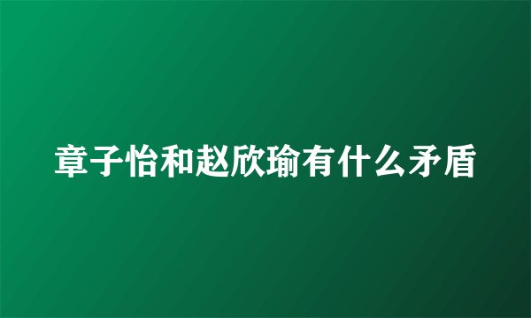 章子怡和赵欣瑜有什么矛盾