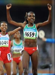 蒂鲁内什·迪巴巴的介绍