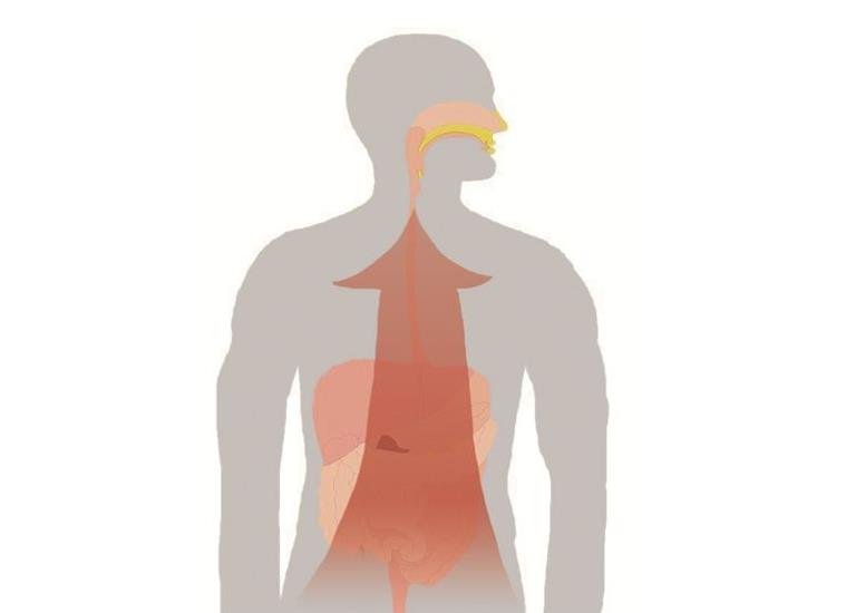 奔豚症到底是啥?仔细辩证,一剂知二剂已呢?