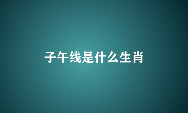子午线是什么生肖