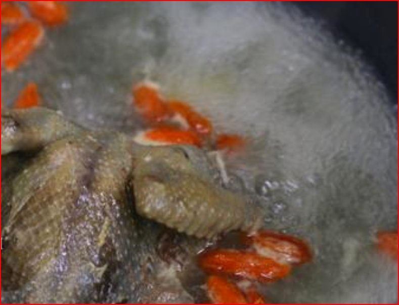 如何炖鸽子汤又美味又有营养