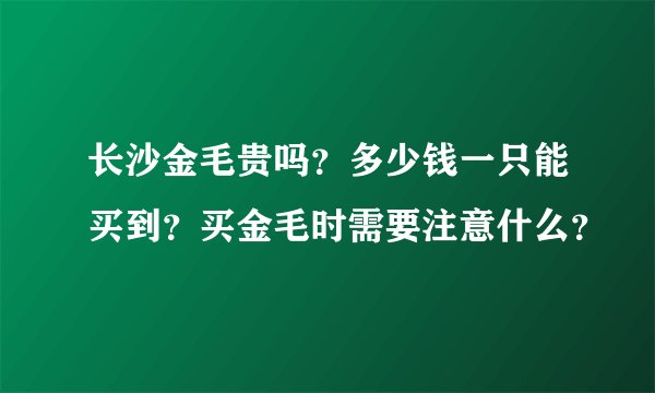 长沙金毛贵吗？多少钱一只能买到？买金毛时需要注意什么？